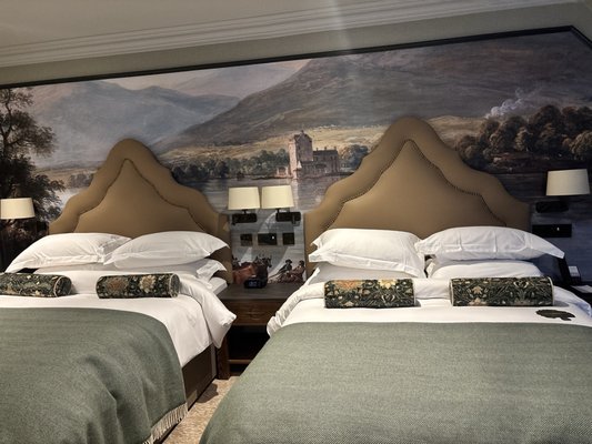 The Killarney Park by null