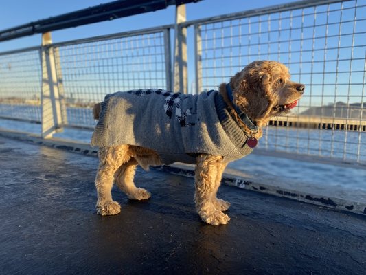 Louis Valentino, Jr. Park and Pier by null