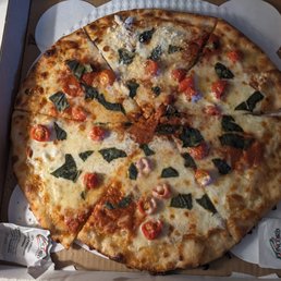 Margherita pizza (regular 14 inch)