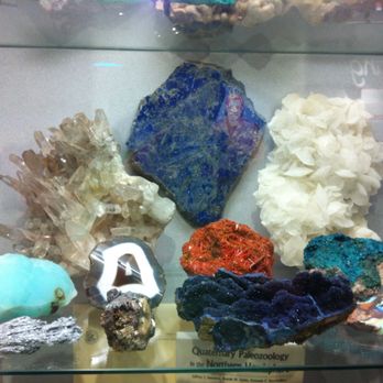 Illinois State Museum - Museums Near Me - Springfield, Illinois