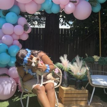 Party Rentals By Genae - the wicker chairs were so comfortable and the ballons lasted even in 102 degree heat - Party Equipment Rentals Near Me