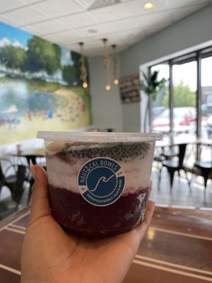 Nautical Bowls by null