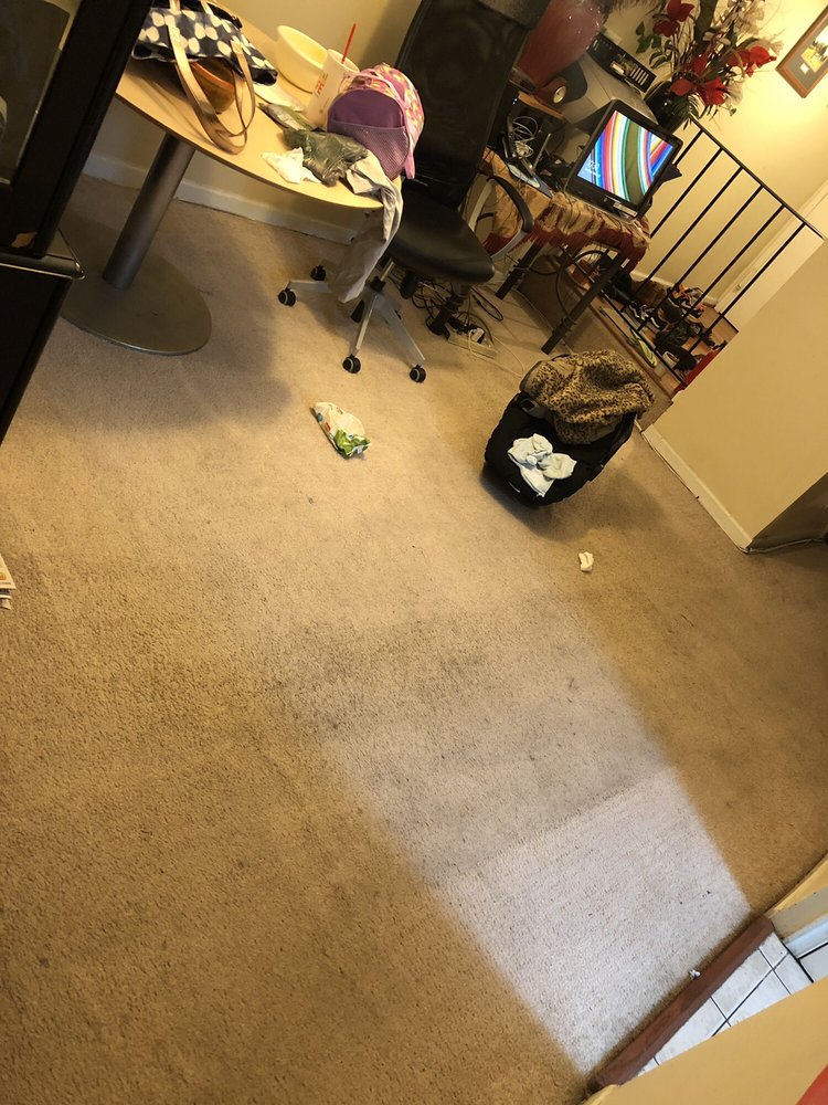 UNIQUE CARPET CLEANING SERVICE Updated May 2024 12 Photos & 42