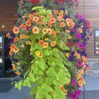Harbor Grille - New American Near Me - Lakeside, Montana Harbor Grille - New American Near Me - Lakeside, Montana