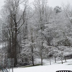 Four Season's Cabin Rentals - Winter in the hills