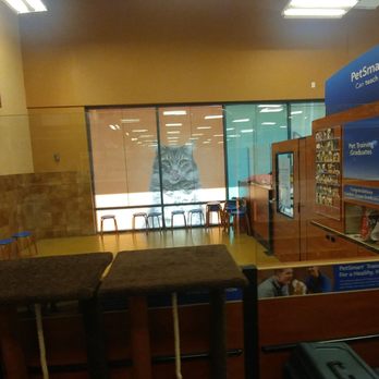 PetSmart - Training spot - Pet Stores Near Me - Garden Grove, California