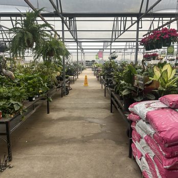 Calloway's Nursery - Nurseries & Gardening Near Me - Plano, Texas Calloway's Nursery - Nurseries & Gardening Near Me - Plano, Texas