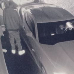 J’s Juke Joint - Customer urinating on neighboring home
