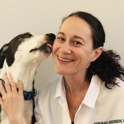 Main Line Veterinary Integrative Practice
