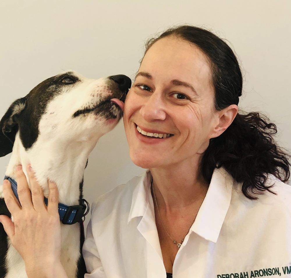 Main Line Veterinary Integrative Practice Image