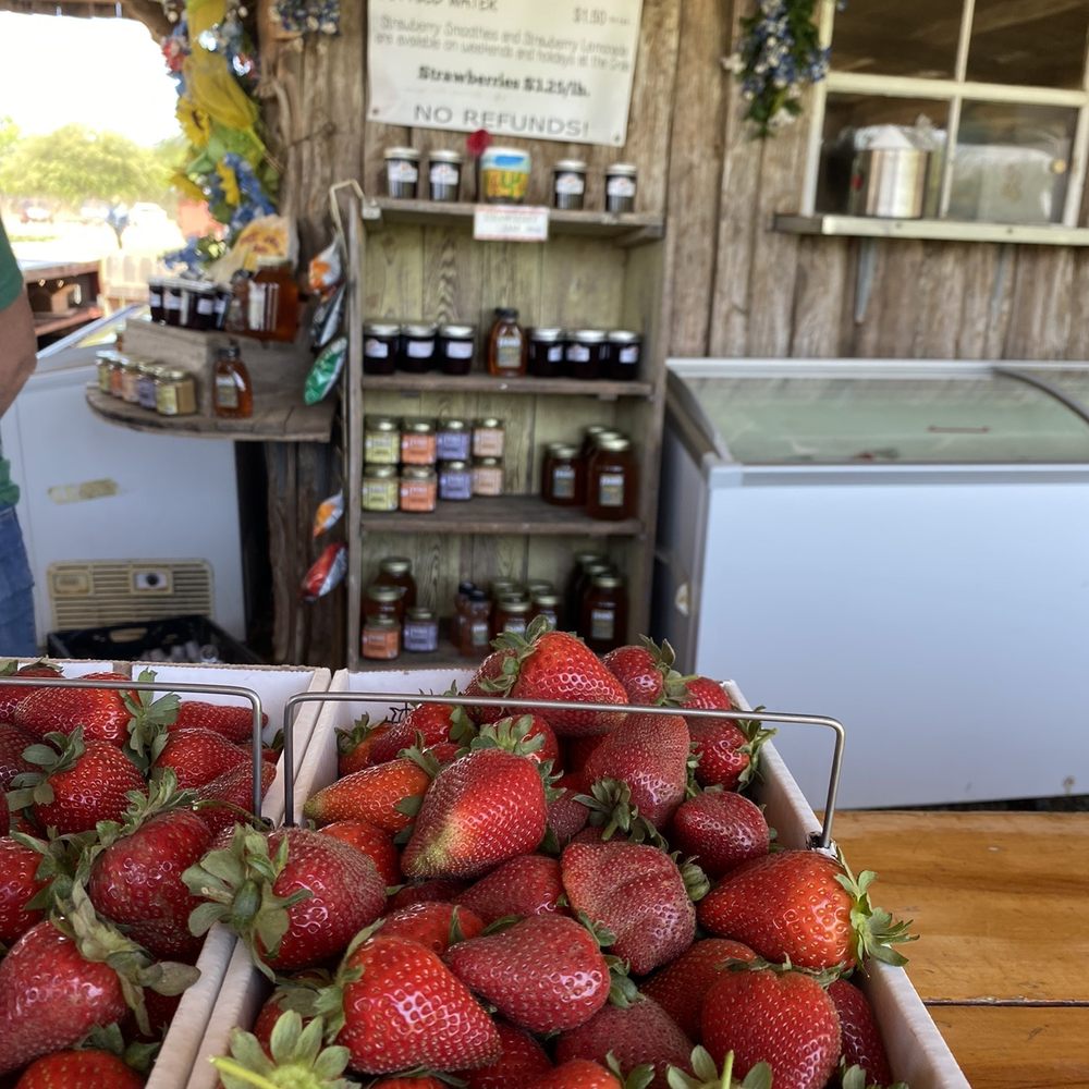 Sweet Berry Farm - Attraction Farms Near Me - Marble Falls, Texas