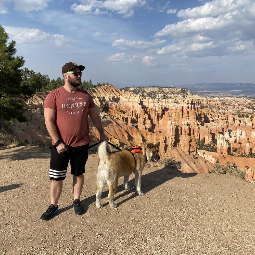 Bryce Canyon National Park - Zelda was looking at all of the sniffing possibilities - Parks Near Me Bryce Canyon National Park - Zelda was looking at all of the sniffing possibilities - Parks Near Me