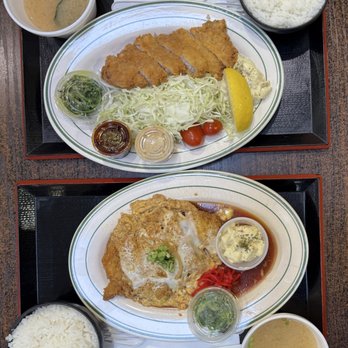 Tokyo Shokudo - Tonkatsu plate and Ponzu Oroshi Tonkatsu plate - Japanese Near Me - Arlington Heights, Illinois