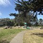 Photo of Rolph Nicol Park