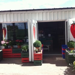 The Strawberry Shop - Un-passable!