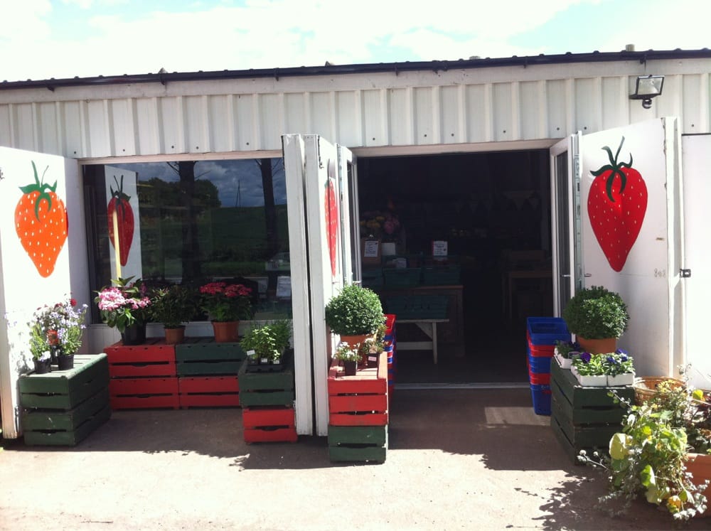 THE STRAWBERRY SHOP Blairgowrie, Perth and Kinross, United Kingdom