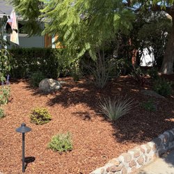 Furuichi Landscapes - Front yard
