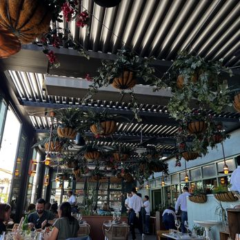 Terra - Outside(ish) terrace dining - Italian Near Me - Santa Clara, California Terra - Outside(ish) terrace dining - Italian Near Me - Santa Clara, California