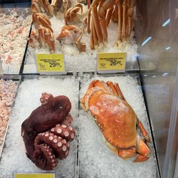 Safeway - Nice octopus