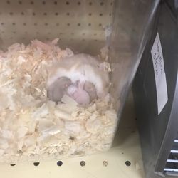 Simon's Farm & Home Center