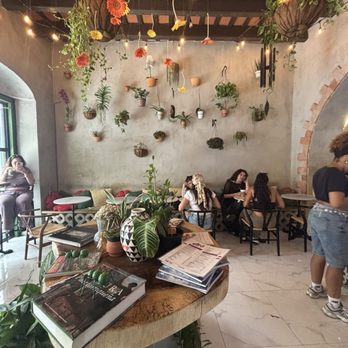 cafe botanico - Interior - Coffee & Tea Near Me - San Juan, Puerto Rico cafe botanico - Interior - Coffee & Tea Near Me - San Juan, Puerto Rico