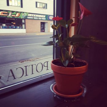 Sunrise Bakery - a potted plant in front of a window - Bakeries Near Me - Hibbing, Minnesota