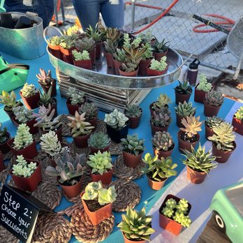 1. Sincerely Succulents