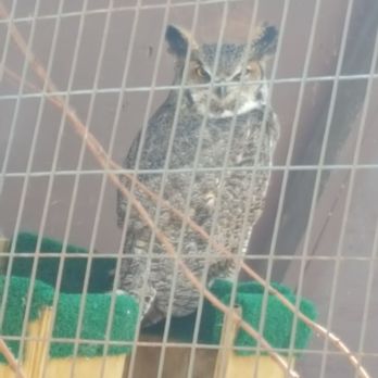 World Bird Sanctuary - Parks Near Me - Valley Park, Missouri