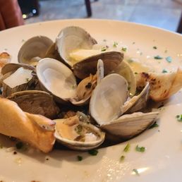 Steamed clams