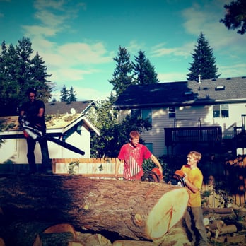 Lineage Tree Care LLC - Taking down a Douglas Fir Tree in Bothell - Tree Services Near Me - Monroe, Washington Lineage Tree Care LLC - Taking down a Douglas Fir Tree in Bothell - Tree Services Near Me - Monroe, Washington