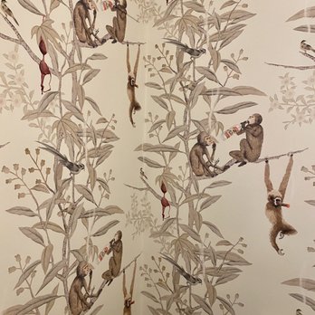Bird Dog - Wallpaper in the bathroom - Bars Near Me - Mattawan, Michigan Bird Dog - Wallpaper in the bathroom - Bars Near Me - Mattawan, Michigan