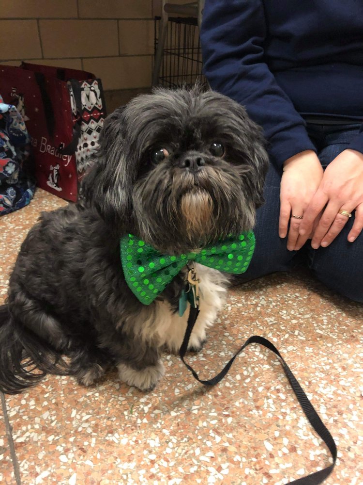 AURORA PET HOSPITAL 32 Photos & 14 Reviews Veterinarians 410