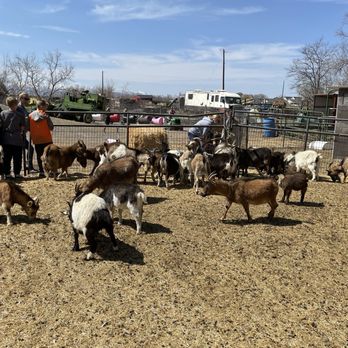 Hee Haw Farms - Attraction Farms Near Me - Pleasant Grove, Utah