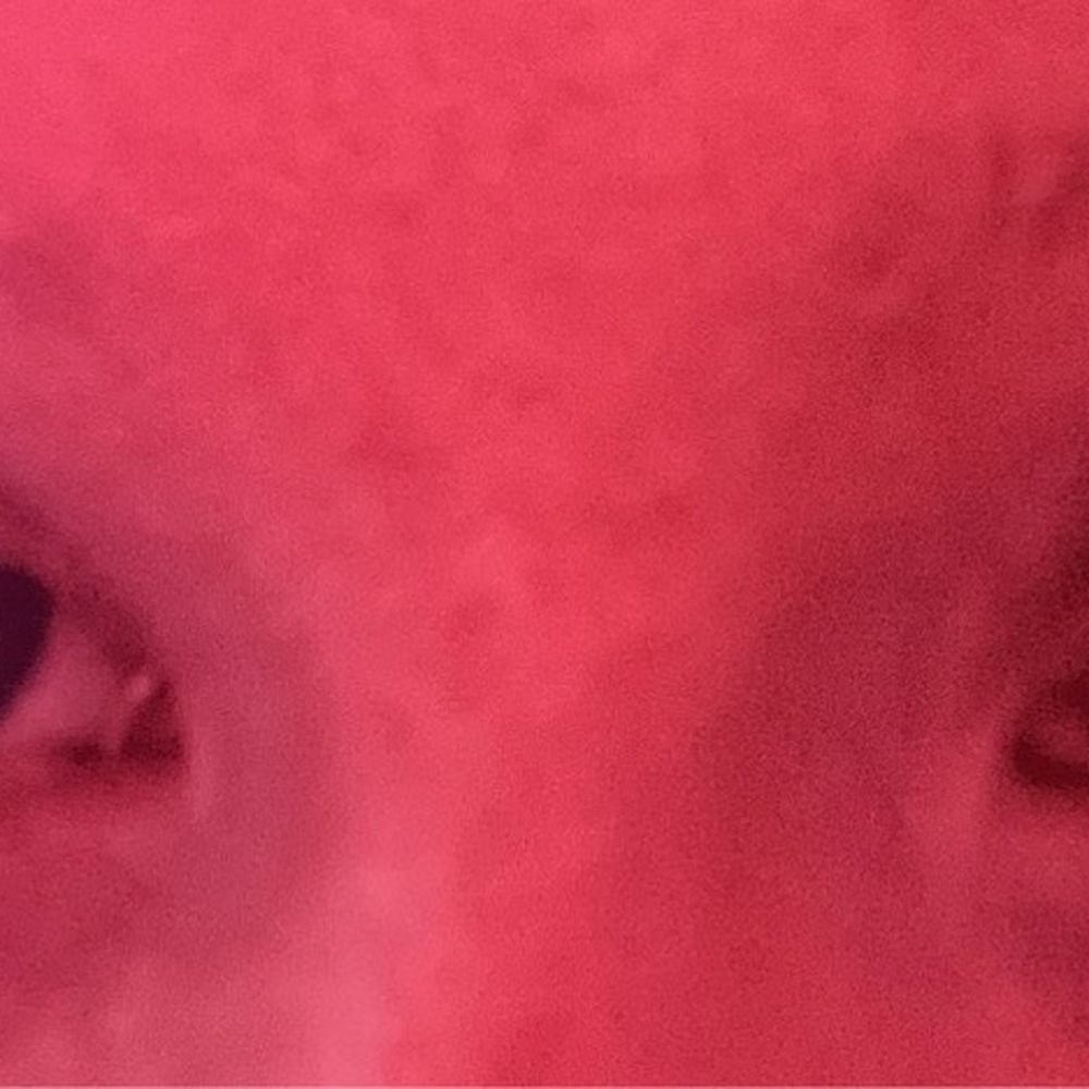 lashes lashes
