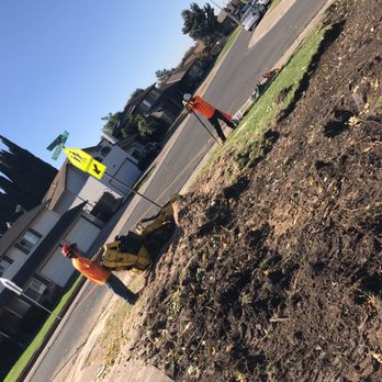 Mercado Tree Service - The crew is here !! - Tree Services Near Me Mercado Tree Service - The crew is here !! - Tree Services Near Me