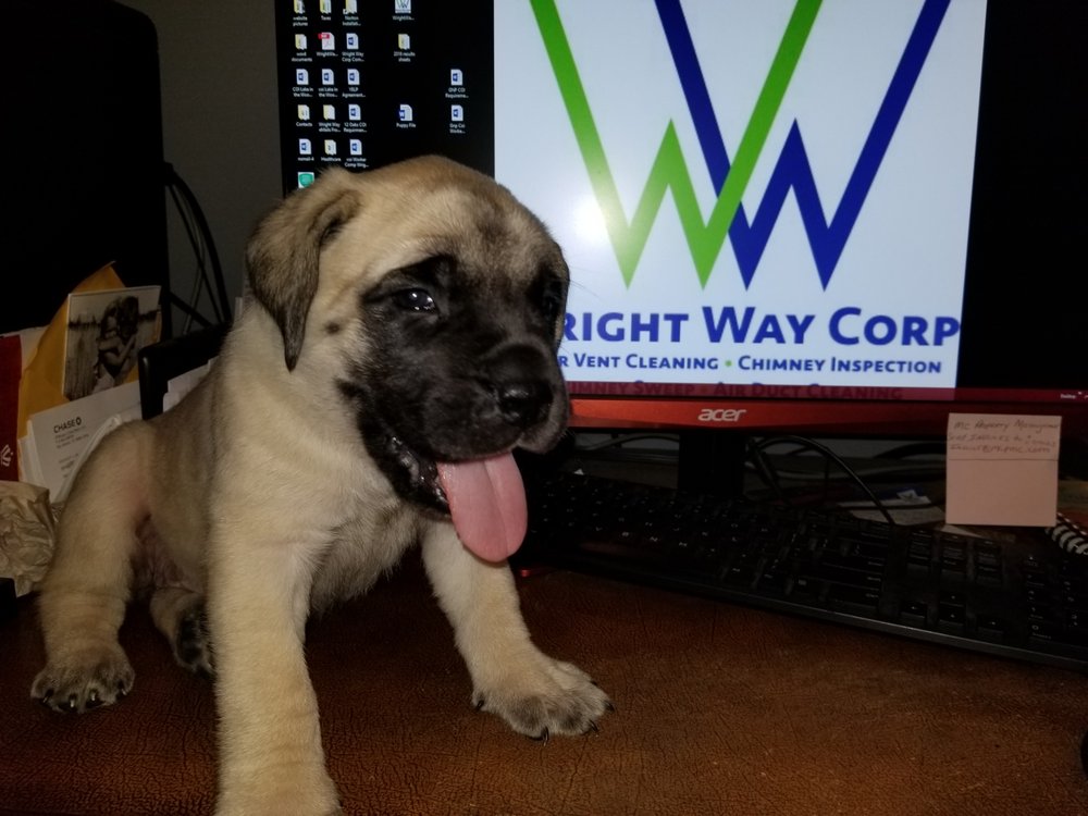 BUFFALO GROVE AIR DUCT AND DRYER VENT CLEANING Updated August 2024