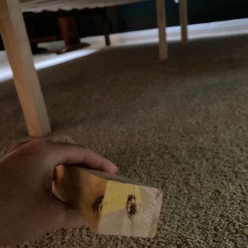 Rely On Movers - Six days after the move. Holes for bed frame are stripped and coming apart. - Movers Near Me - San Diego, California