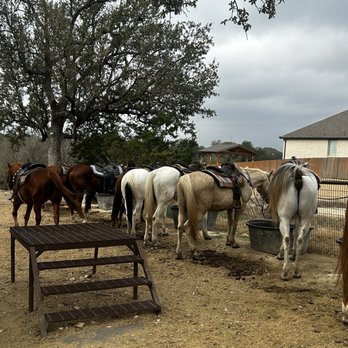 Westcreek Trail Rides - Horses - Horseback Riding Near Me - San Antonio, Texas Westcreek Trail Rides - Horses - Horseback Riding Near Me - San Antonio, Texas
