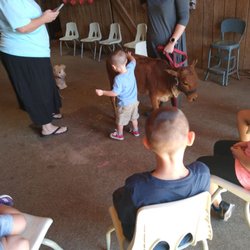 Lazy C Farm - Field trips to the farm are fun and educational