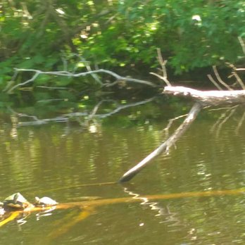 Sea Serpent Tour - Boat Tours Near Me - Saint Augustine, Florida