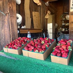 Saechao Strawberry Farm