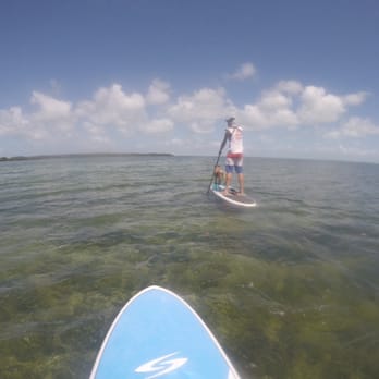 Aquaholic Adventures - Ty and Fizzy - Paddleboarding Near Me - Islamorada, Florida