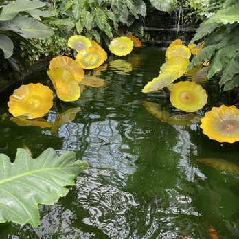 Garfield Park Conservatory - Parks Near Me - Chicago, Illinois