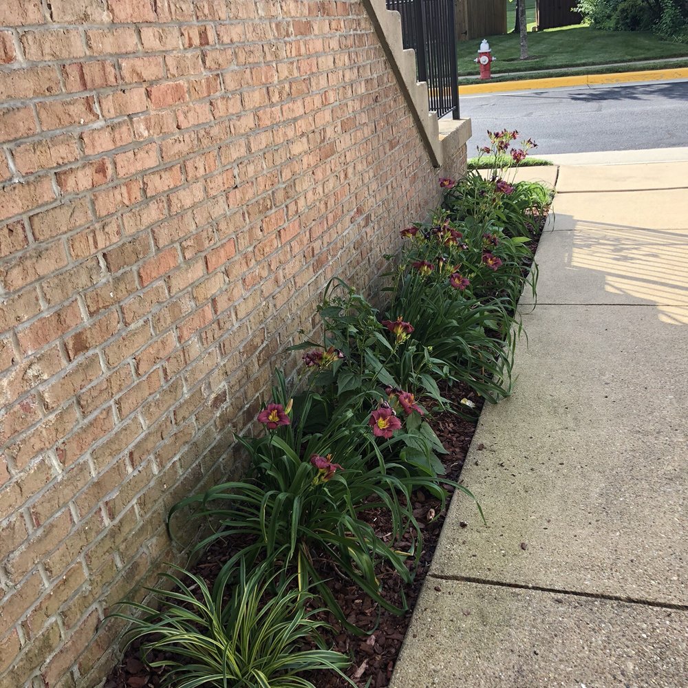 Cassella Design & Build - Landscaping Near Me - Springfield, Virginia Cassella Design & Build - Landscaping Near Me - Springfield, Virginia
