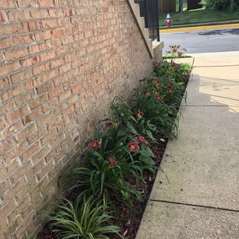 Cassella Design & Build - Landscaping Near Me - Springfield, Virginia Cassella Design & Build - Landscaping Near Me - Springfield, Virginia