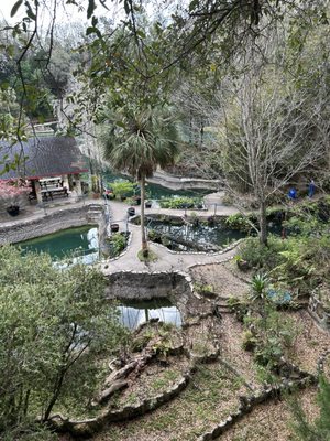 Cedar Lakes Woods and Gardens by null