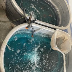 We have all kinds of live bait