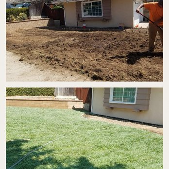 Martinez Tree Service - New sod installation we can work with your budget. We provide great deals and professional work to make your yard looking good as new. - Tree Services Near Me - Fontana, California Martinez Tree Service - New sod installation we can work with your budget. We provide great deals and professional work to make your yard looking good as new. - Tree Services Near Me - Fontana, California