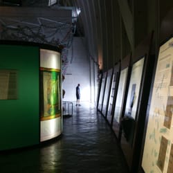 Domus