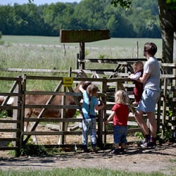 Kinderbauernhof Vierfelderhof - Eine Familie besucht die Ziegen auf dem Vierfelderhof